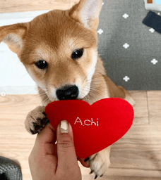ACHI